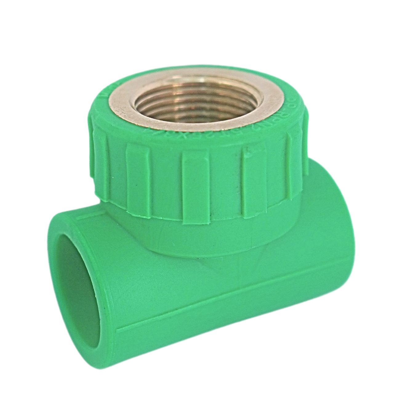 Tê ren trong PPR - Ảnh 3